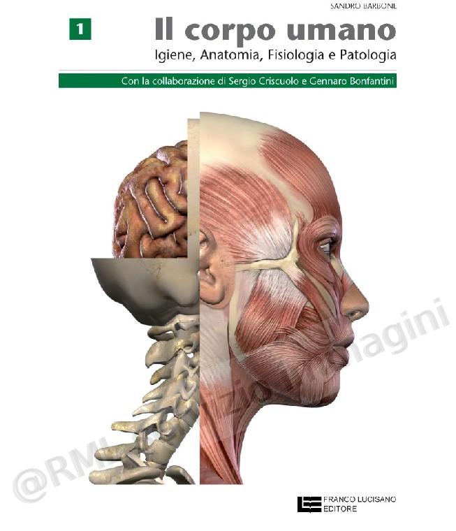 9788808261649